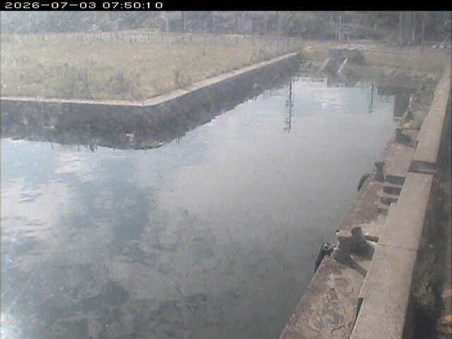 東郷池１2026/07/03 8:30:00