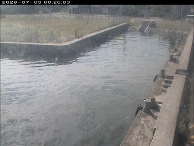 東郷池１2026/07/03 8:30:00
