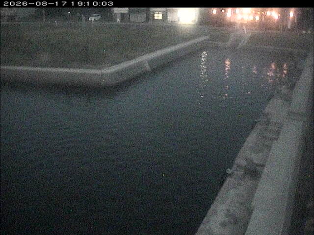 東郷池１2026/08/17 20:40:00