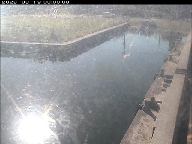 東郷池１2026/08/20 8:10:00