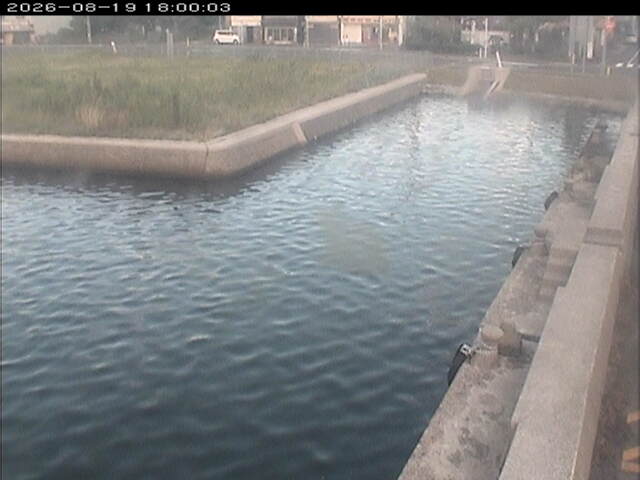 東郷池１2026/08/20 8:10:00