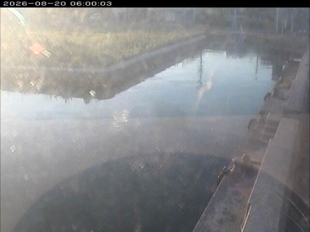 東郷池１2026/08/20 8:10:00