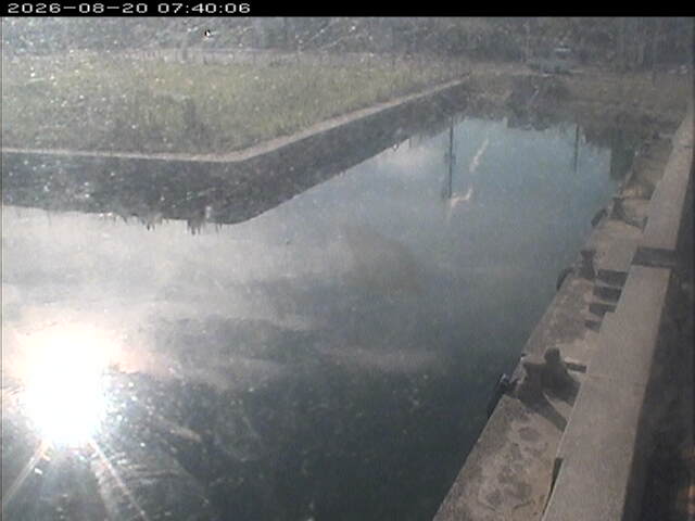 東郷池１2026/08/20 8:10:00