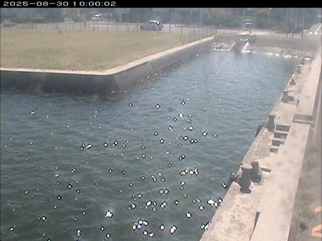 東郷池１2025/08/31 9:20:00
