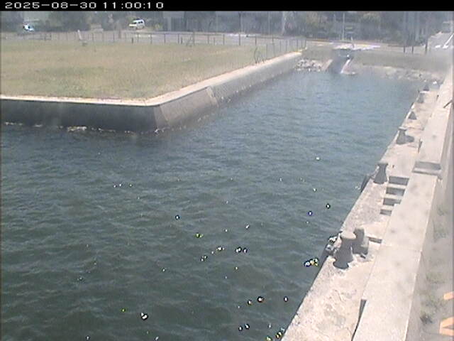 東郷池１2025/08/31 9:20:00