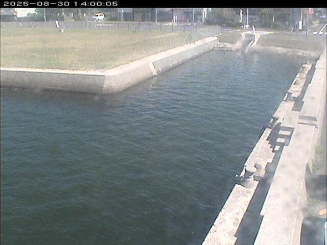 東郷池１2025/08/31 9:20:00