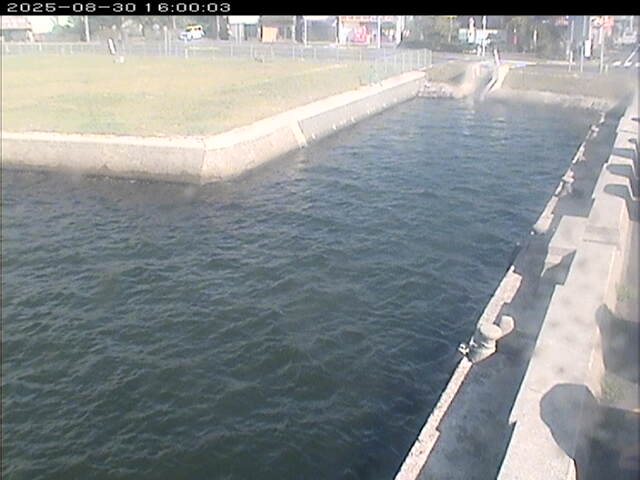 東郷池１2025/08/31 9:20:00