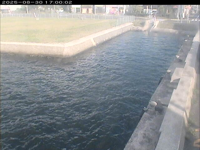 東郷池１2025/08/31 9:20:00