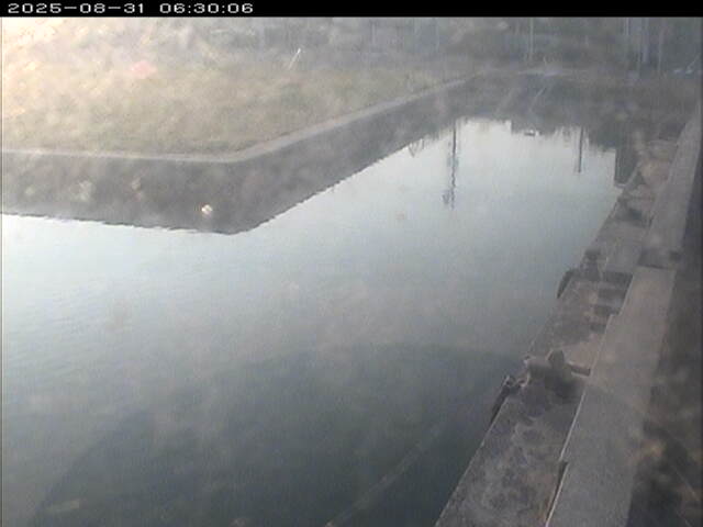 東郷池１2025/08/31 9:20:00