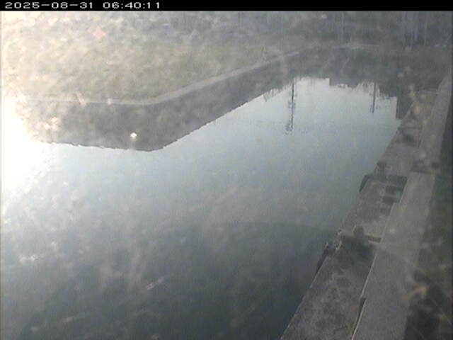 東郷池１2025/08/31 9:20:00
