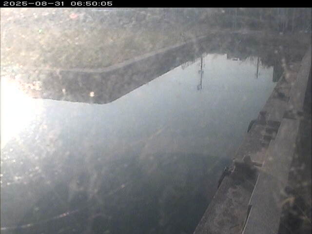 東郷池１2025/08/31 9:20:00