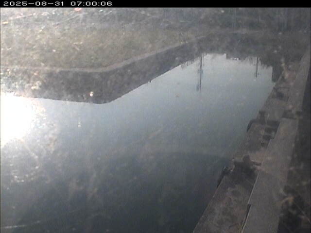 東郷池１2025/08/31 9:20:00