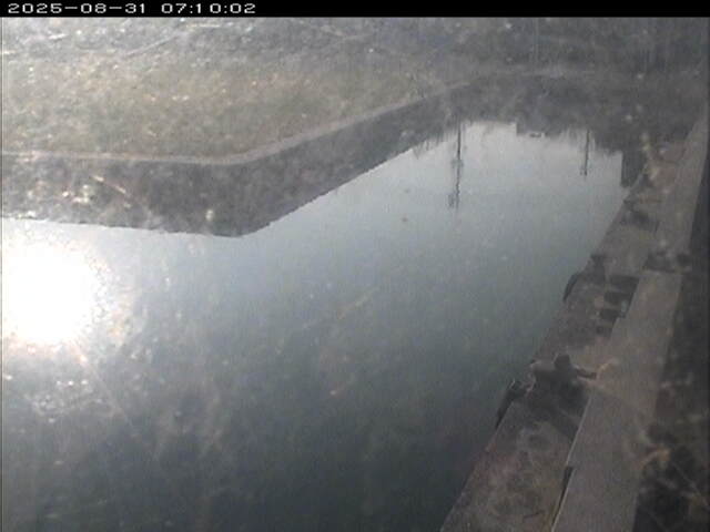 東郷池１2025/08/31 9:20:00