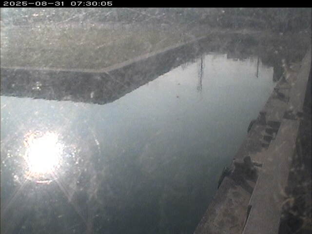東郷池１2025/08/31 9:20:00