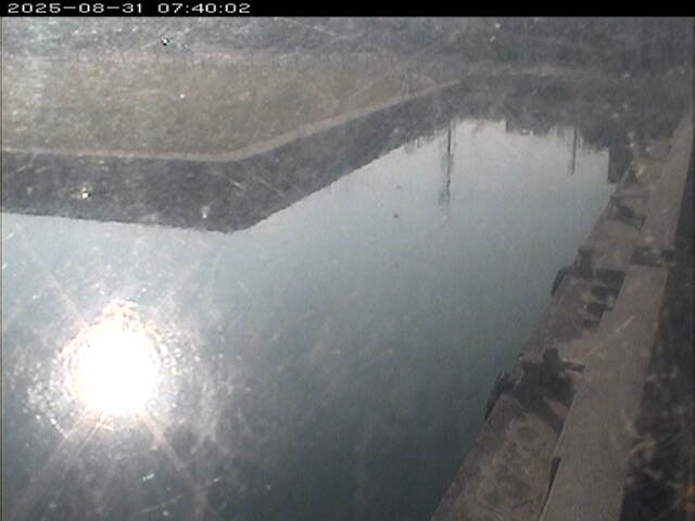 東郷池１2025/08/31 9:20:00