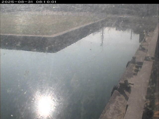 東郷池１2025/08/31 9:20:00