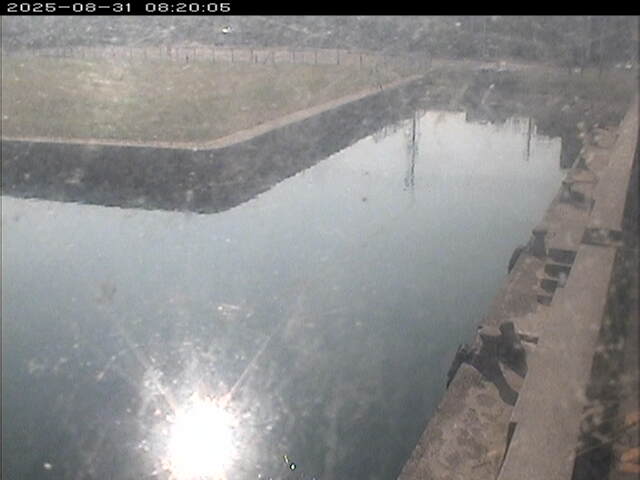 東郷池１2025/08/31 9:20:00