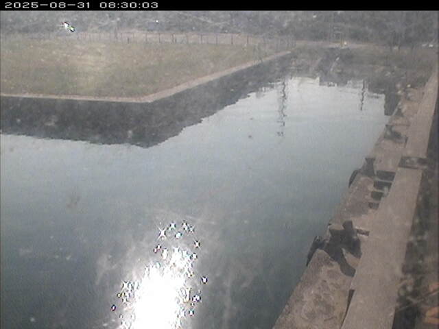 東郷池１2025/08/31 9:20:00