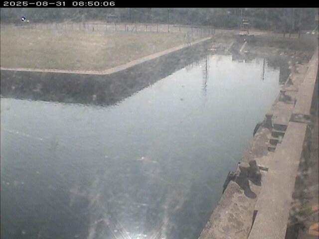 東郷池１2025/08/31 9:20:00
