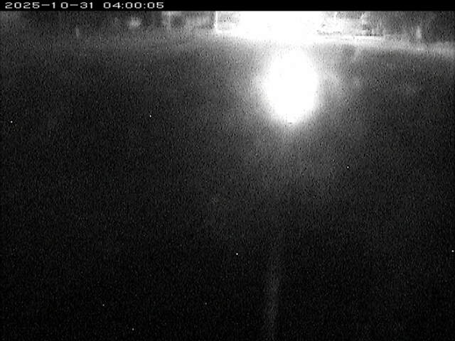 東郷池12025/11/01 0:00:00