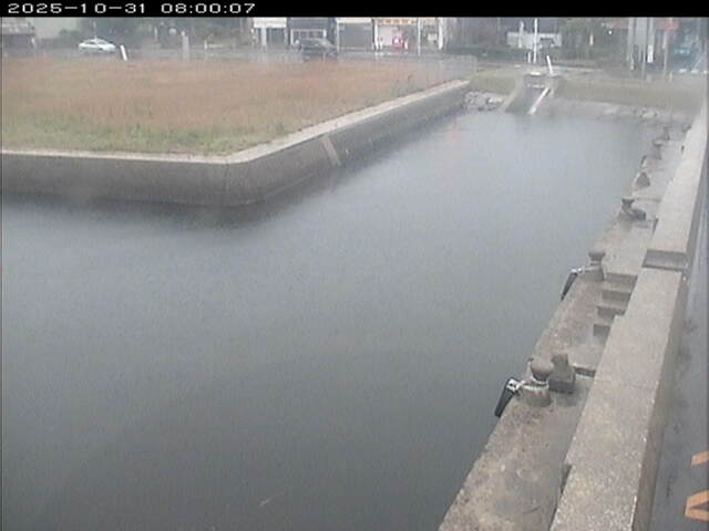 東郷池12025/11/01 0:00:00