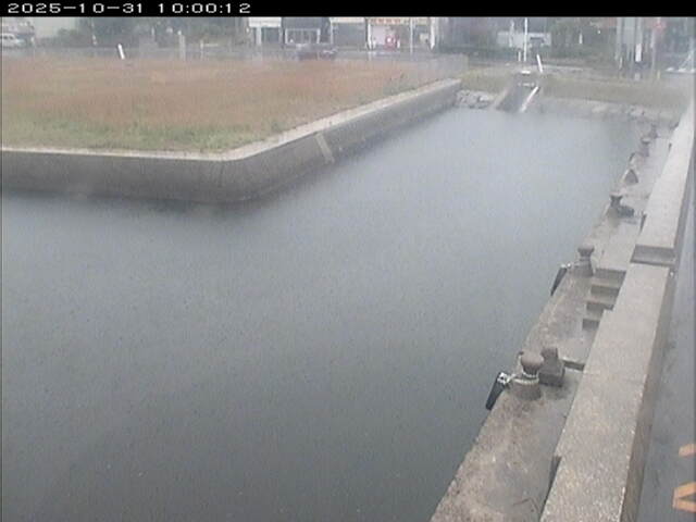 東郷池12025/11/01 0:00:00