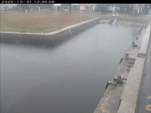 東郷池12025/11/01 0:00:00