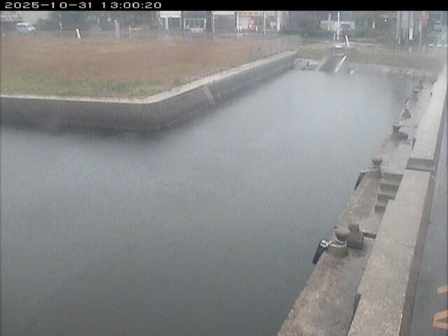 東郷池12025/11/01 0:00:00