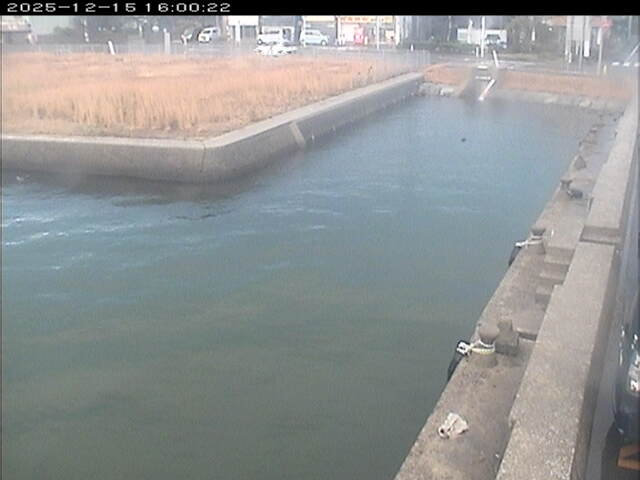 東郷池１2025/12/16 8:50:00