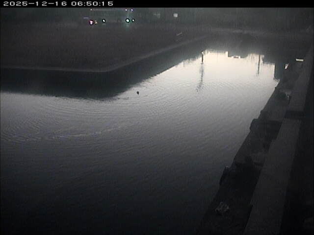 東郷池１2025/12/16 8:50:00