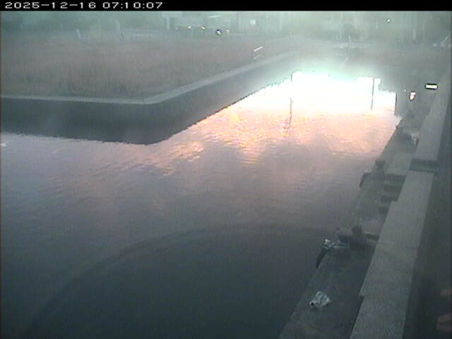 東郷池１2025/12/16 8:50:00