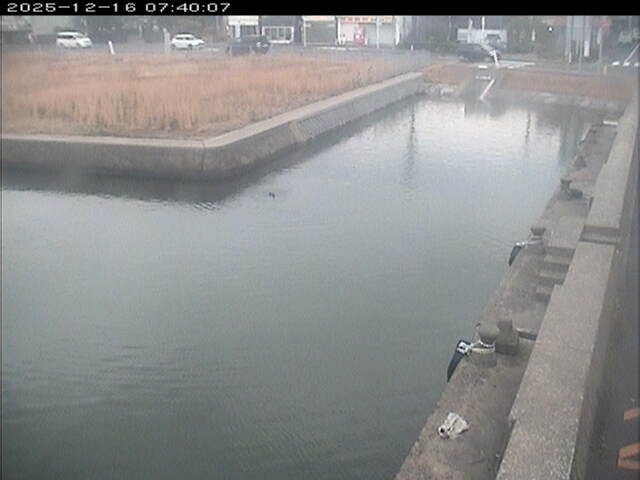 東郷池１2025/12/16 8:50:00