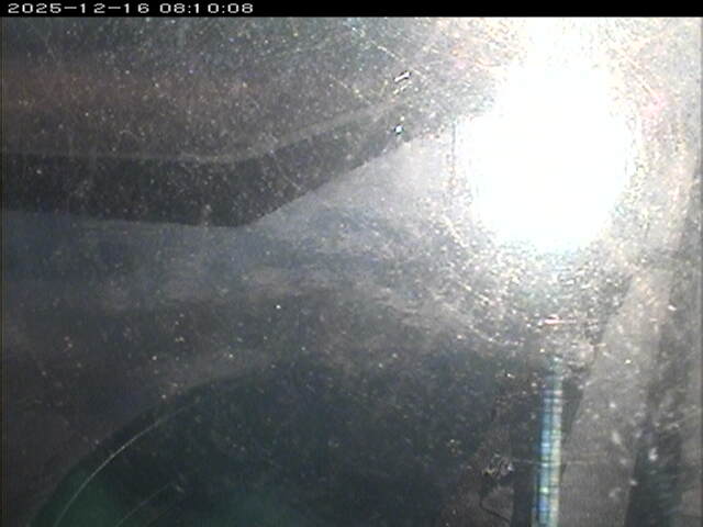 東郷池１2025/12/16 8:50:00