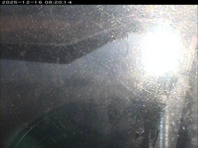 東郷池１2025/12/16 8:50:00