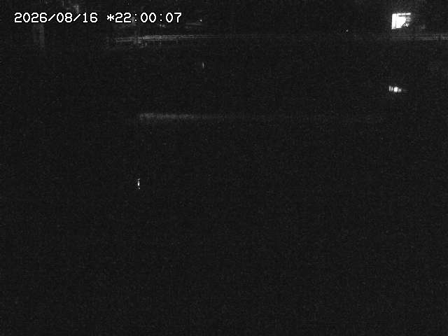 由良川２2026/08/17 20:40:00