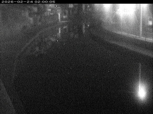 加茂川１2026/02/25 2:40:00