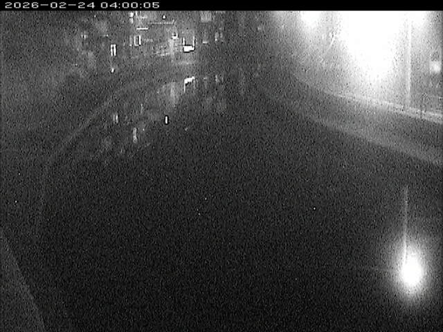 加茂川１2026/02/25 2:40:00