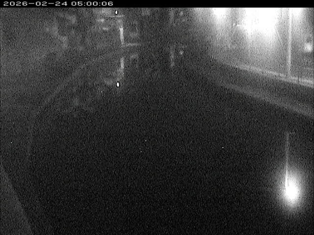 加茂川１2026/02/25 2:40:00