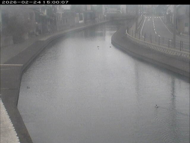 加茂川１2026/02/25 2:40:00