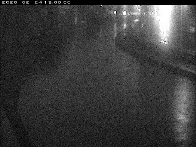 加茂川１2026/02/25 2:40:00