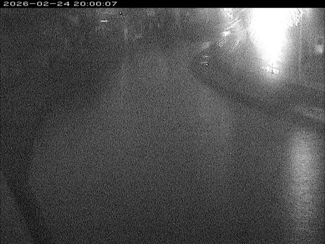 加茂川１2026/02/25 2:40:00