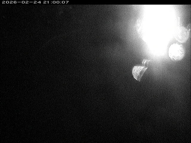 加茂川１2026/02/25 2:40:00