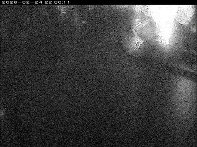 加茂川１2026/02/25 2:40:00