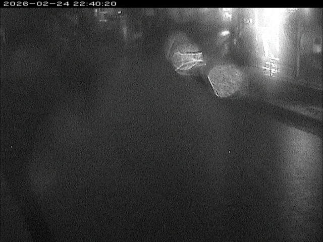 加茂川１2026/02/25 2:40:00