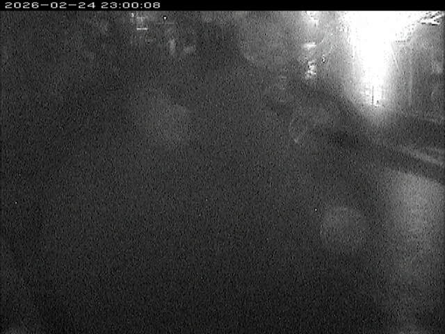 加茂川１2026/02/25 2:40:00