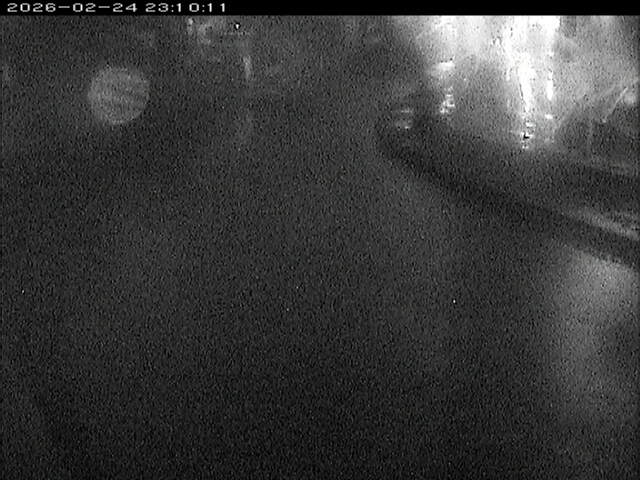 加茂川１2026/02/25 2:40:00