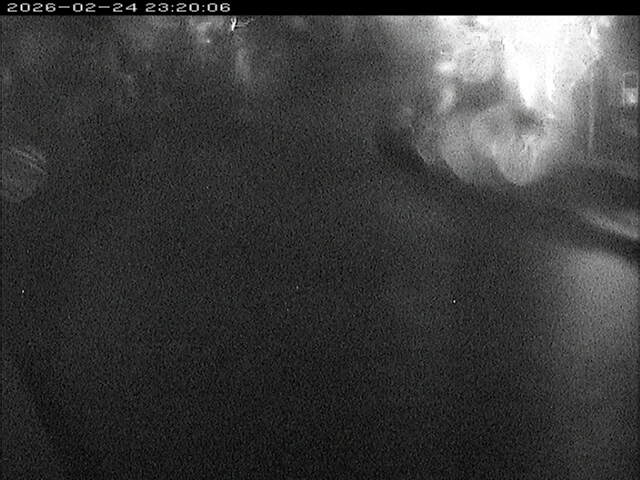 加茂川１2026/02/25 2:40:00