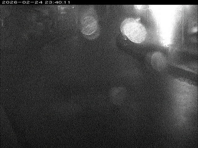 加茂川１2026/02/25 2:40:00