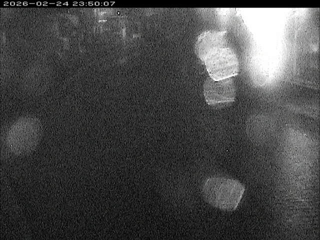 加茂川１2026/02/25 2:40:00