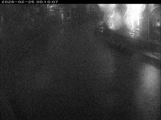 加茂川１2026/02/25 2:40:00